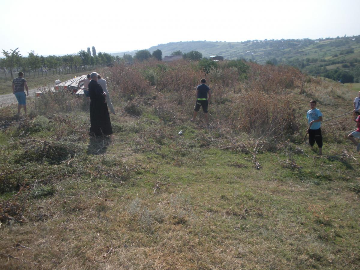 Actiune de ecologizare