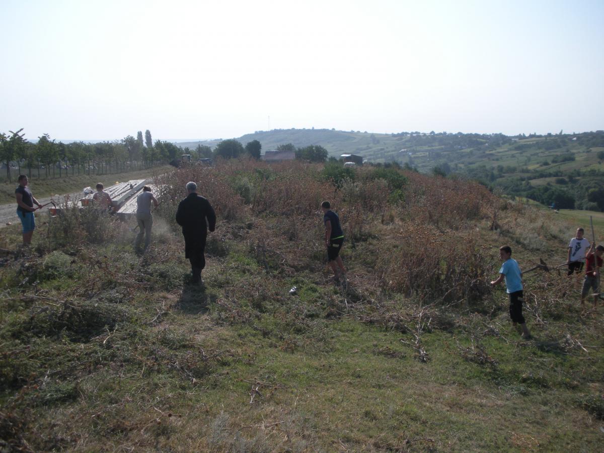 Actiune de ecologizare