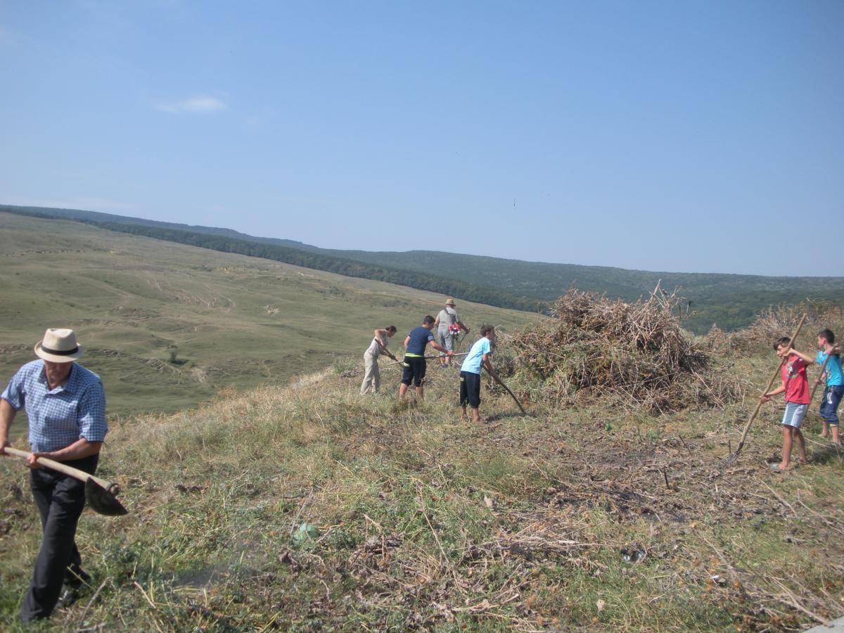 Actiune de ecologizare