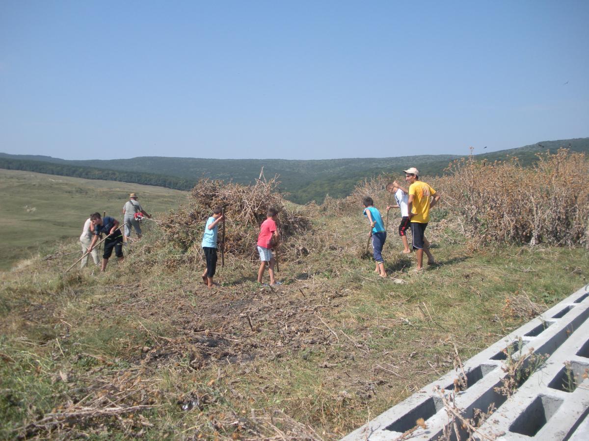 Actiune de ecologizare