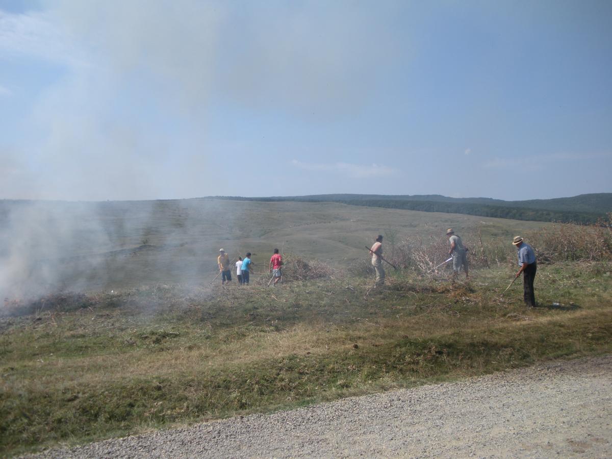 Actiune de ecologizare