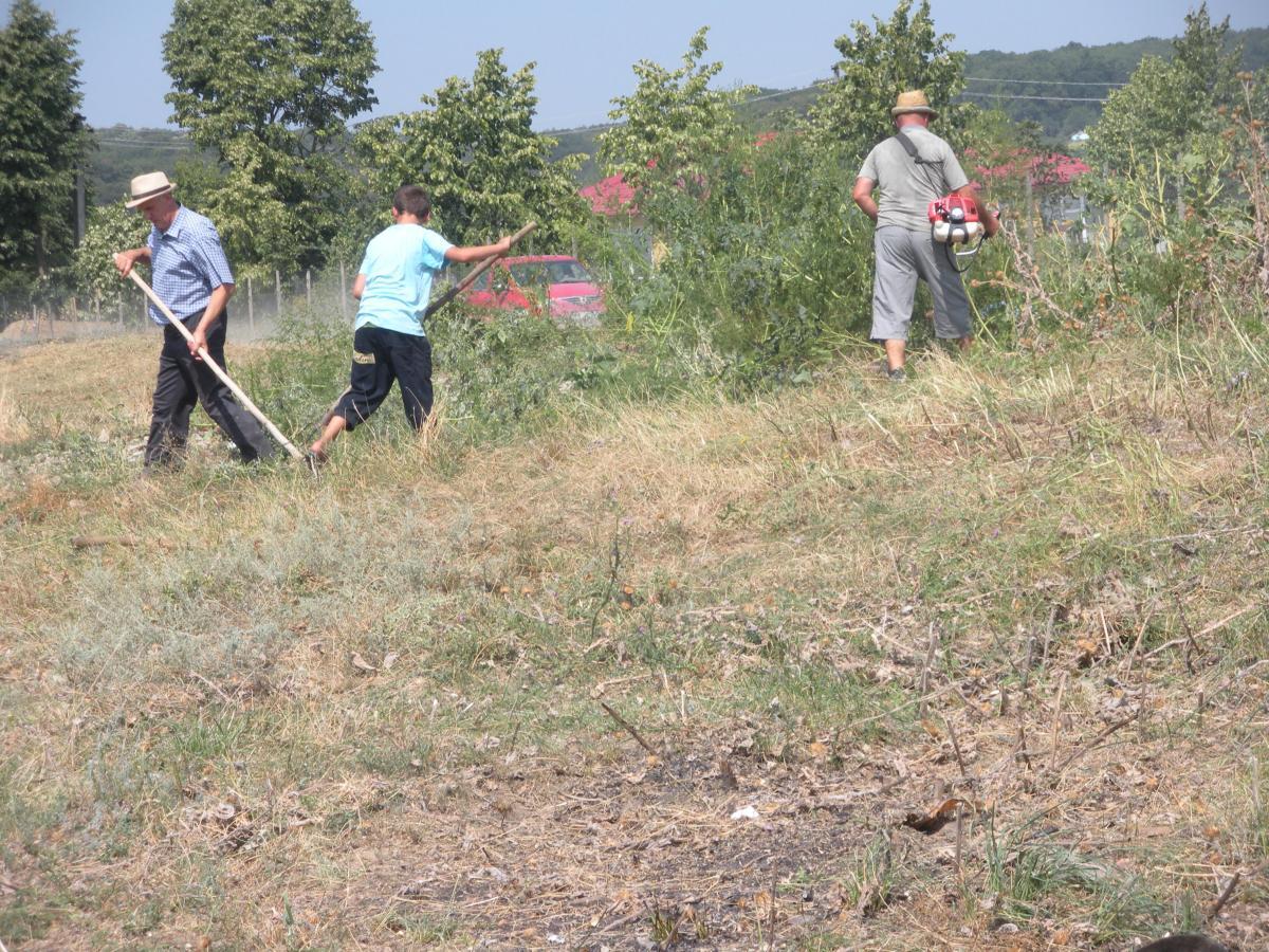 Actiune de ecologizare