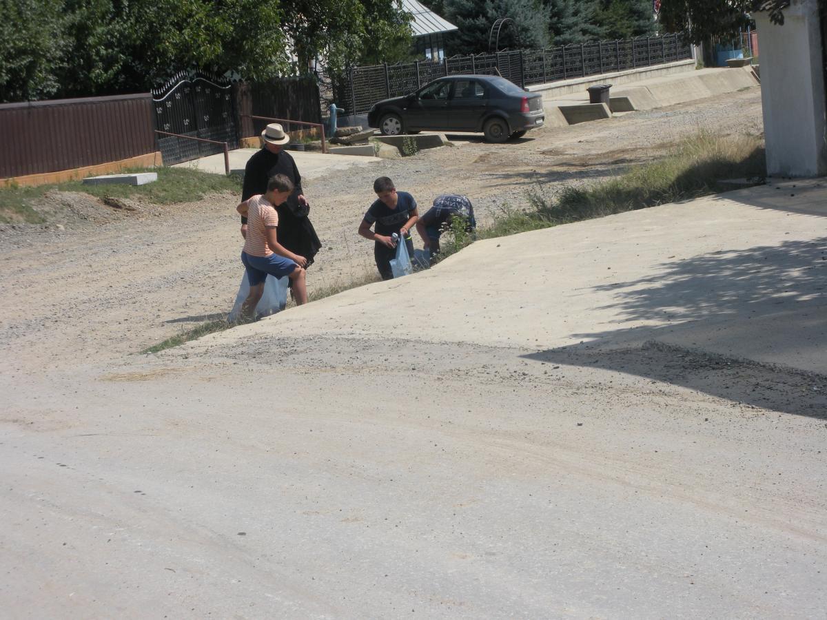 Actiune de ecologizare