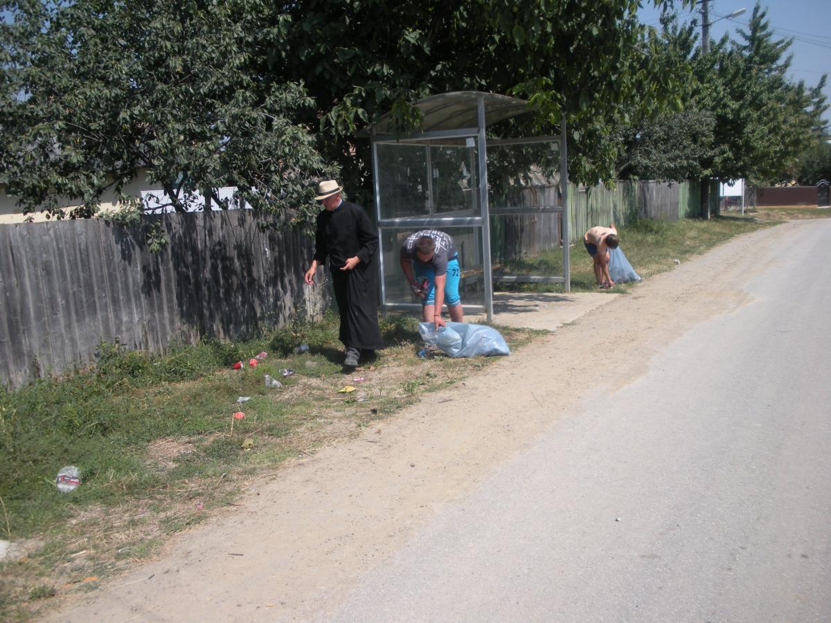 Actiune de ecologizare